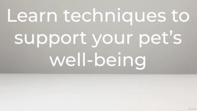Sound Therapy & Energy Healing for Animals – Screenshot 2