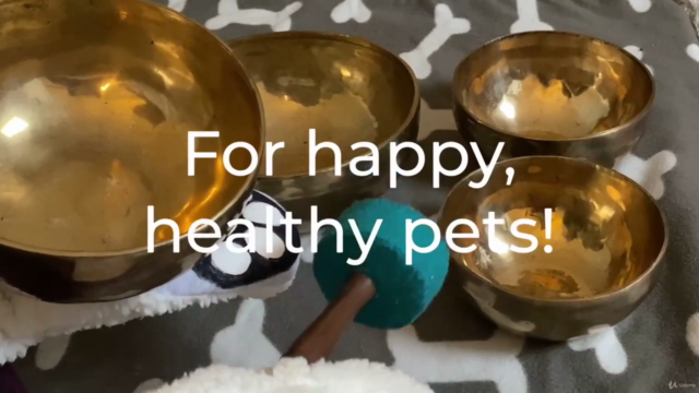 Sound Therapy & Energy Healing for Animals – Screenshot 3