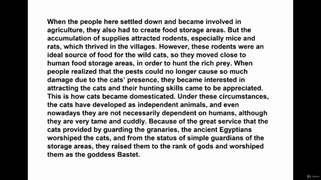 Health and Care Tips for Cat Owners – Screenshot 2