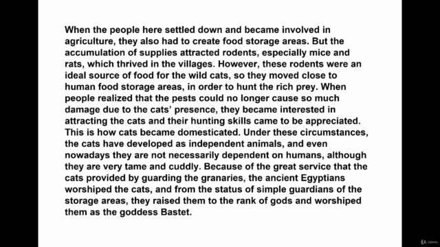 Health and Care Tips for Cat Owners – Screenshot 3