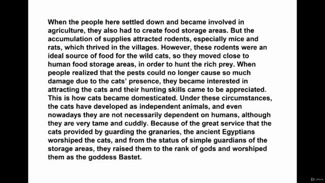 Health and Care Tips for Cat Owners – Screenshot 4
