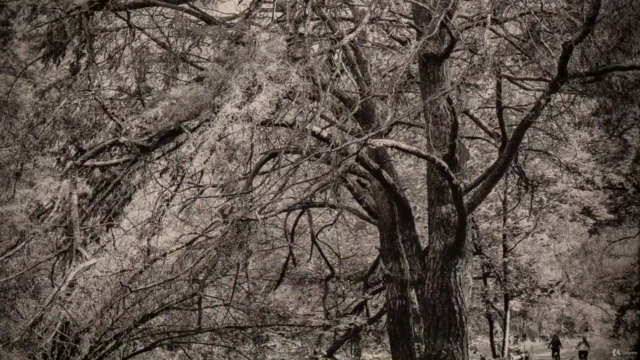 Photography as an oil painting. EcoGumoil. – Screenshot 1