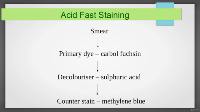 Introduction to Bacteriology – Screenshot 4