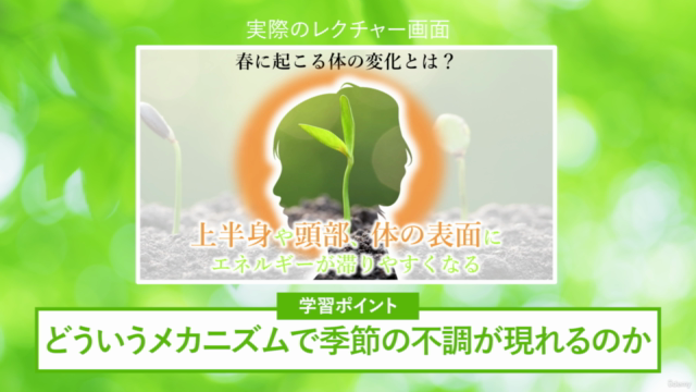 自然と体が調和する 東洋医学・季節の養生と薬膳 – Screenshot 2