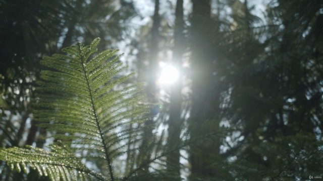 How to Plan a Green & Sustainable Event – Screenshot 2