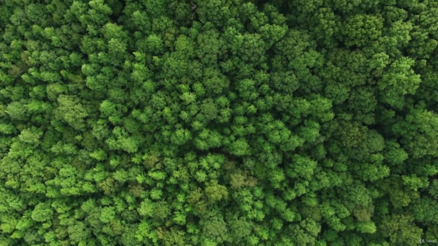 How to Plan a Green & Sustainable Event – Screenshot 3