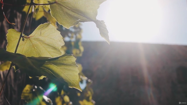 How to Plan a Green & Sustainable Event – Screenshot 4