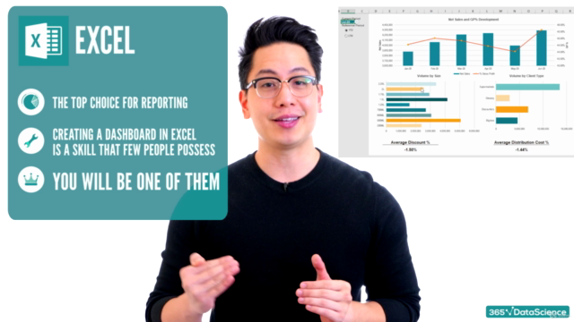 Professional Dashboards in Excel and Tableau – Screenshot 3