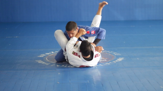 The Most Important Techniques of Brazilian Jiu Jitsu – Screenshot 2