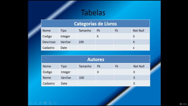 Delphi Sistema Bibliotecário Passo a Passo – Screenshot 2