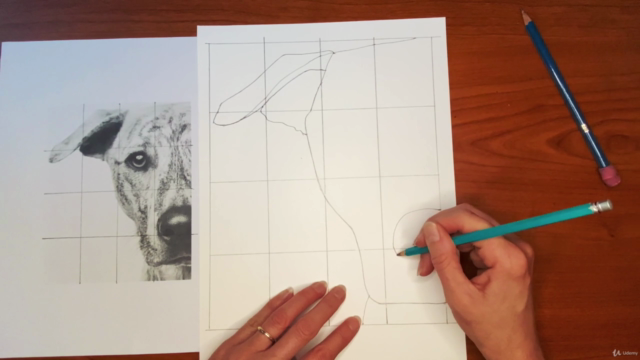 Graphite Pencil Drawing for the Advanced Beginner – Screenshot 3