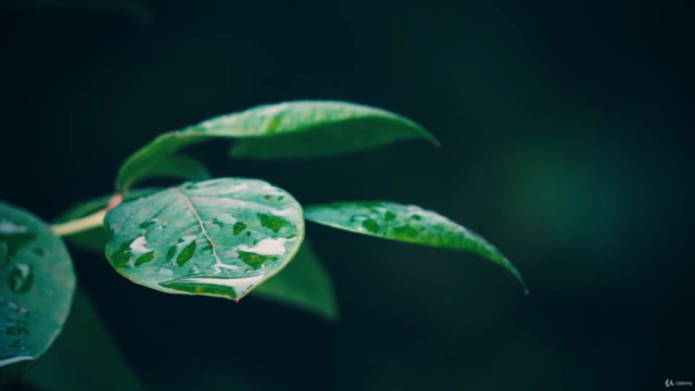 9 meditazioni guidate bellissime! – Screenshot 1