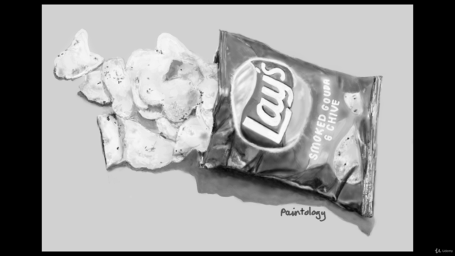 Secrets of Photo Realistic Drawings with Paintology – Screenshot 1