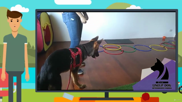 Educa a tu perro con amor - Curso Básico de Educación Canina – Screenshot 2