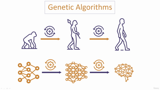 Genetic Algorithms & Neural Networks: Java, AI – Screenshot 1