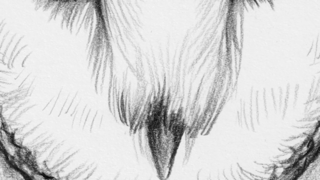 Learn to Draw with the S-Method – PART 1: Stroke Control – Screenshot 3
