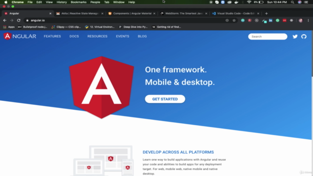 State Management for Angular using AKITA - Crash Course – Screenshot 1