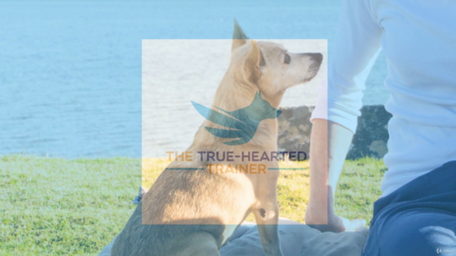 Science in Emotion: 'owner' versus dog Guardian. – Screenshot 4