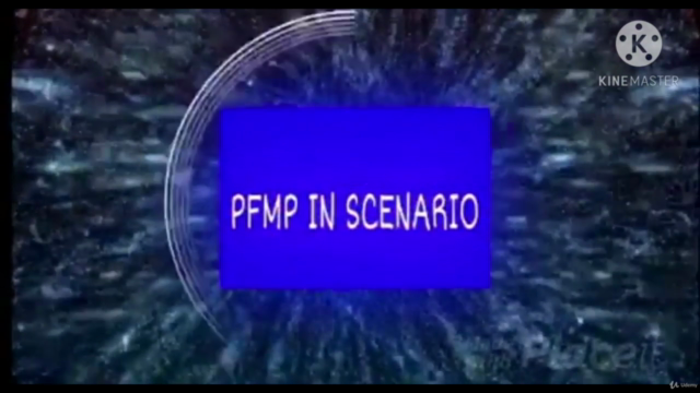 PfMP إدارة المحافظ الاحترفية – Screenshot 4