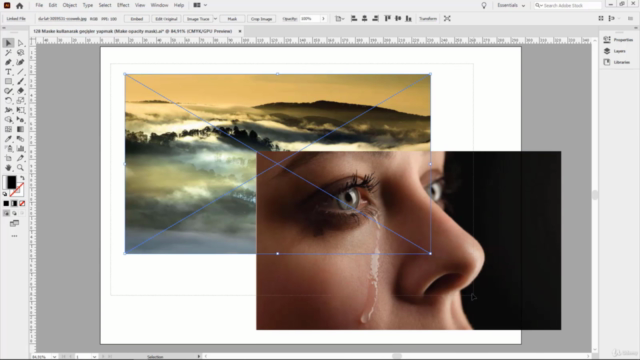 Adobe illustrator 2021 [Öğrenme Seti & Uygulama Seti] - Screenshot_02