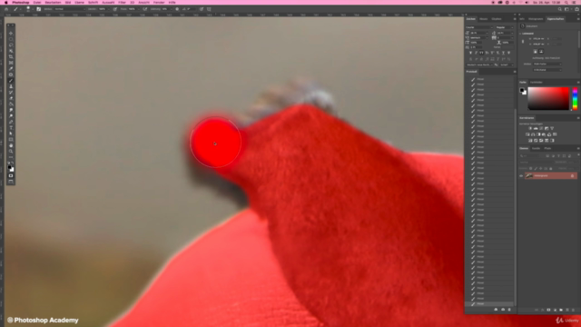 Photoshop Academy Starter - Vom Anfänger zum Profi – Screenshot 3