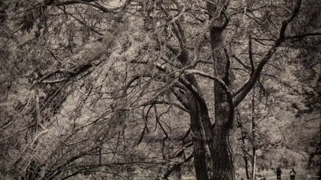 Фотография как картина маслом. EcoGumoil. – Screenshot 1