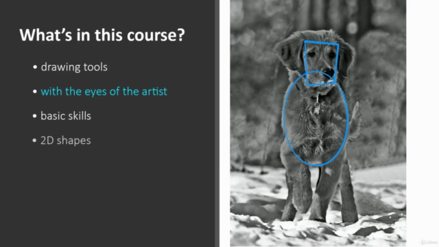 How to Draw Ep.1 - BASIC DRAWING SKILLS & Sketching Course – Screenshot 3