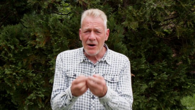Healing With Hands Or At Distance Practitioner Course – Screenshot 4
