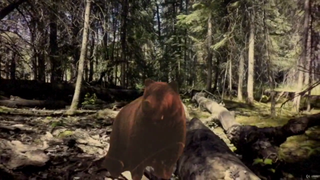 Power Animal Retrieval for Friends – Screenshot 2