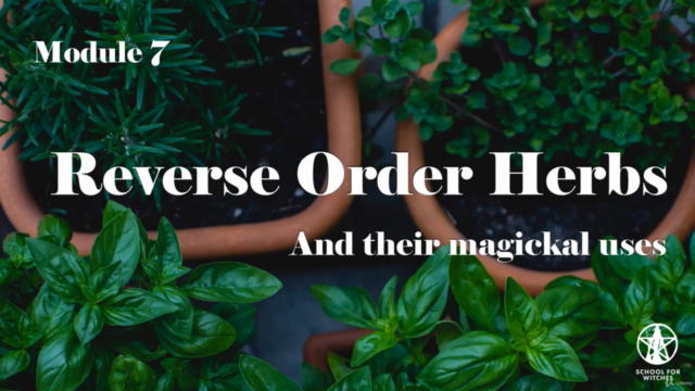 How Essential & Conjure oils are used in Wicca & Witchcraft – Screenshot 4