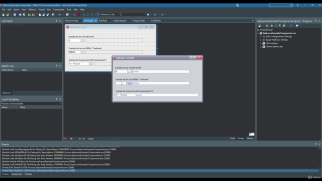 Criando Componente de Pesquisa com Delphi 10.3.3 na PRÁTICA – Screenshot 4
