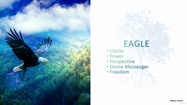 SHAMANIC SPIRIT ANIMALS - With Power Animal Wisdom – Screenshot 3