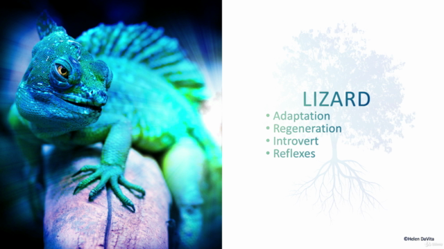 SHAMANIC SPIRIT ANIMALS - With Power Animal Wisdom – Screenshot 4