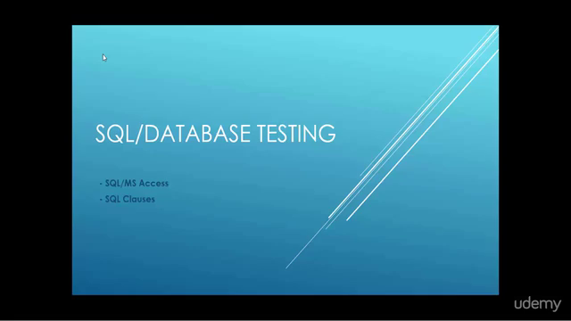 Database Testing Using SQL Queries/MS Access – Screenshot 1