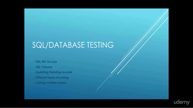 Database Testing Using SQL Queries/MS Access – Screenshot 2