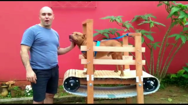esteira para cachorro, faça você mesmo! – Screenshot 1
