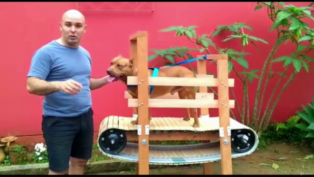esteira para cachorro, faça você mesmo! – Screenshot 2