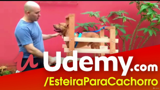 esteira para cachorro, faça você mesmo! – Screenshot 3
