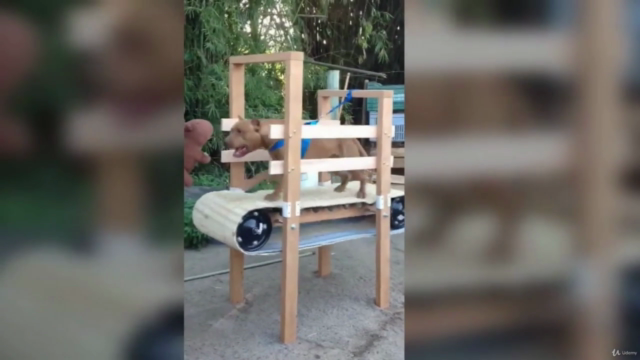 esteira para cachorro, faça você mesmo! – Screenshot 4