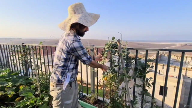 Growing Homemade Organic Food – Screenshot 2