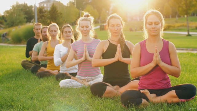 Meditation Certification for Facilitators and Life Coaching – Screenshot 2