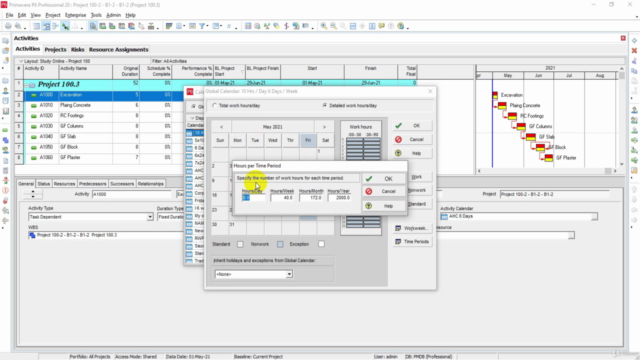 Primavera P6 For Professional Engineers – Screenshot 4