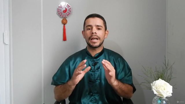O Poder do Kung-Fu – Screenshot 2