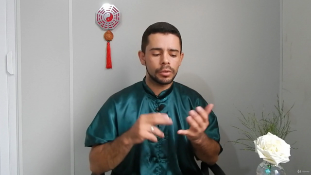 O Poder do Kung-Fu – Screenshot 3