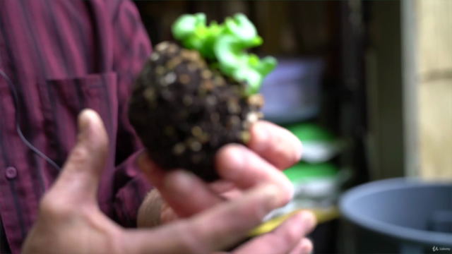 Things They Didn't Teach You In Garden School – Screenshot 3