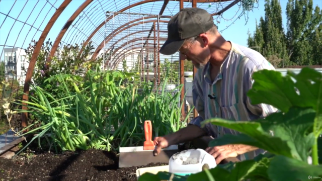 Things They Didn't Teach You In Garden School – Screenshot 4