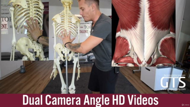 The pain-free shoulder and rotator cuff course – Screenshot 2