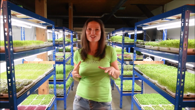 Microgreens MasterClass Business Approach – Screenshot 1