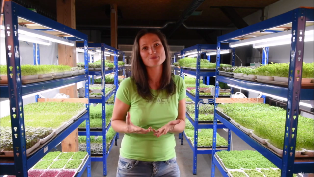 Microgreens MasterClass Business Approach – Screenshot 2
