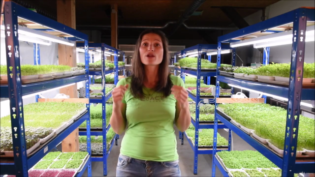 Microgreens MasterClass Business Approach – Screenshot 3